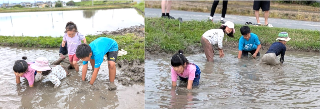 【開催報告】泥んこ笑顔が弾ける!田植え体験イベントを実施しました🌾