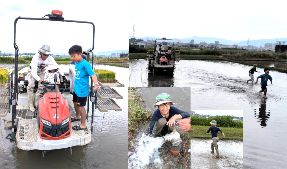 【開催報告】泥んこ笑顔が弾ける!田植え体験イベントを実施しました🌾